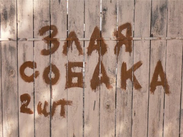 Прикольные надписи на заборе