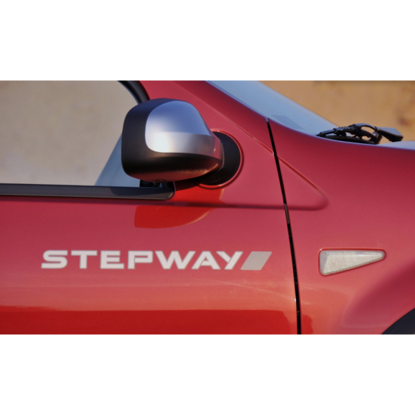 Наклейка на дверь Рено Сандеро степвей 2