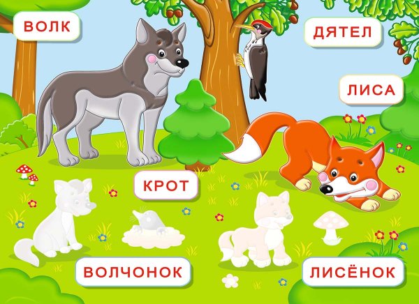 Животные леса надпись