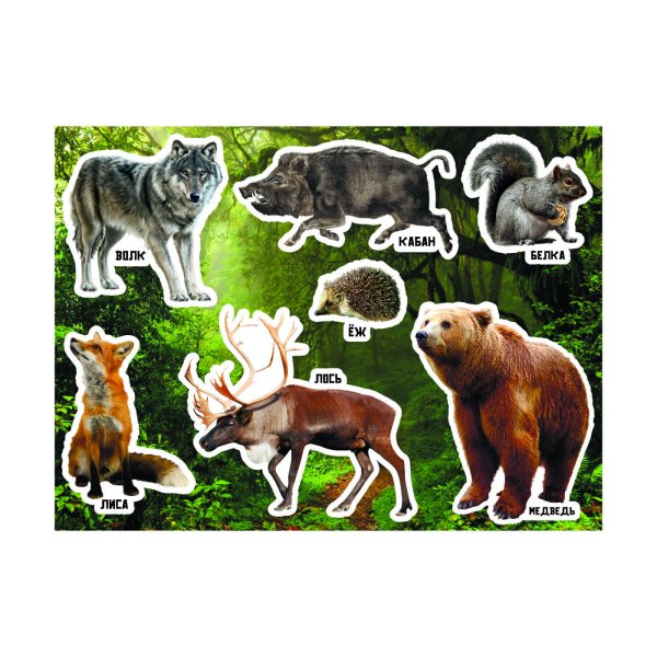 С наклейками Лесные животные