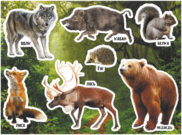С наклейками Лесные животные