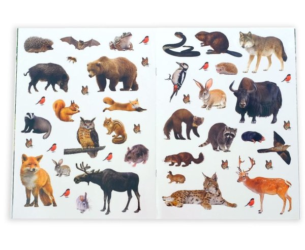 Книжка с наклейками. Лесные жители