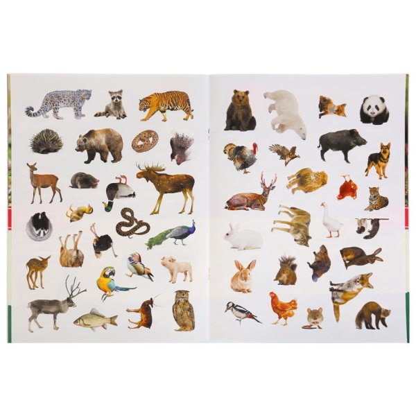 Мультяшные животные