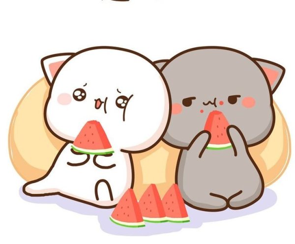 Кавайные котики гиф