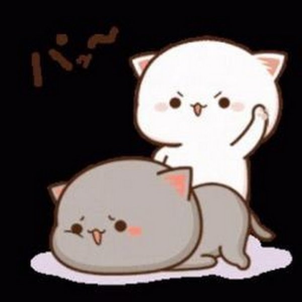 Mochi Mochi Peach Cat