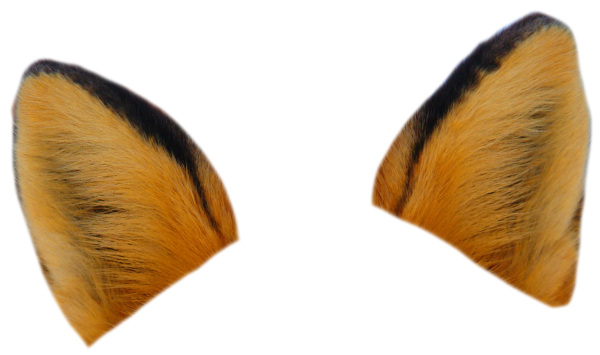 Милые мультяшные лисята