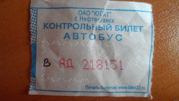 Билет на мозги