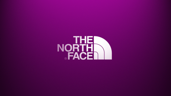 The North face эмблема