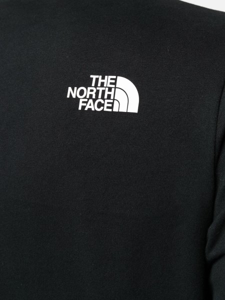 The North face знак