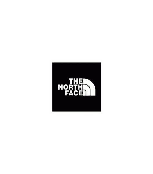 The North face обои
