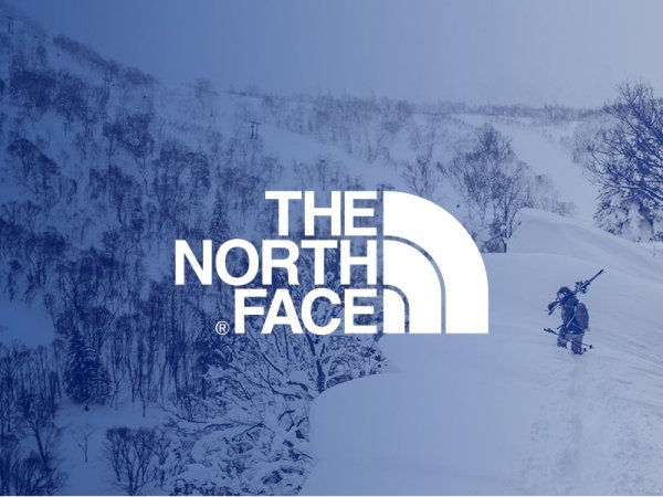 The North face эмблема