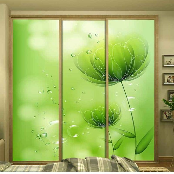 Фотонаклейки на двери шкафа купе