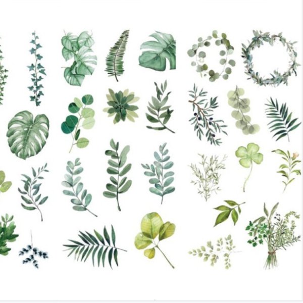 Наклейки растения