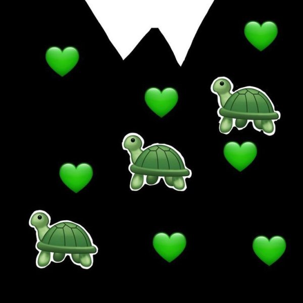 T-Shirt для РОБЛОКС С лягушкой