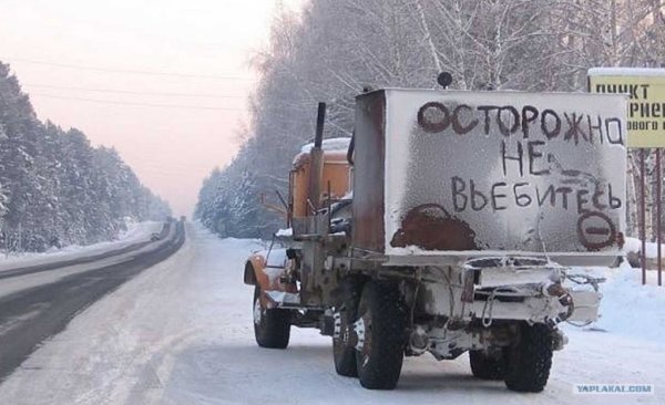 Смешные надписи на машинах сзади