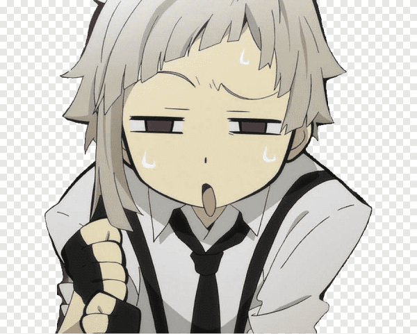 Ацуши Накаджима бродячие псы лицо