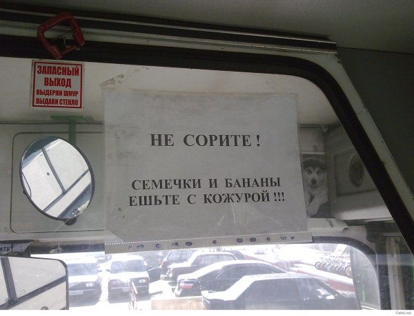 Таблички в автобусе Выдерни