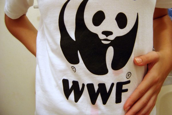 Наклейки с пожеланиями