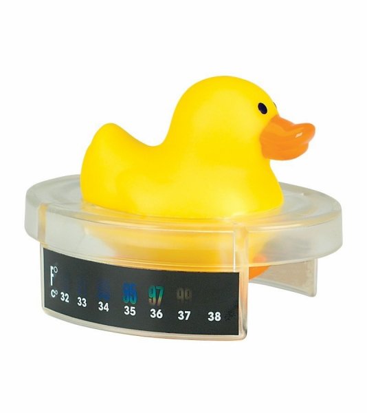 Морская Свинка с градусником