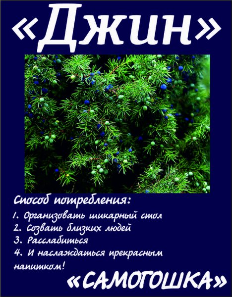 Этикетки на бутылки Джин домашний