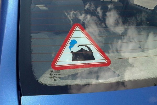 Наклейка чайник за рулем