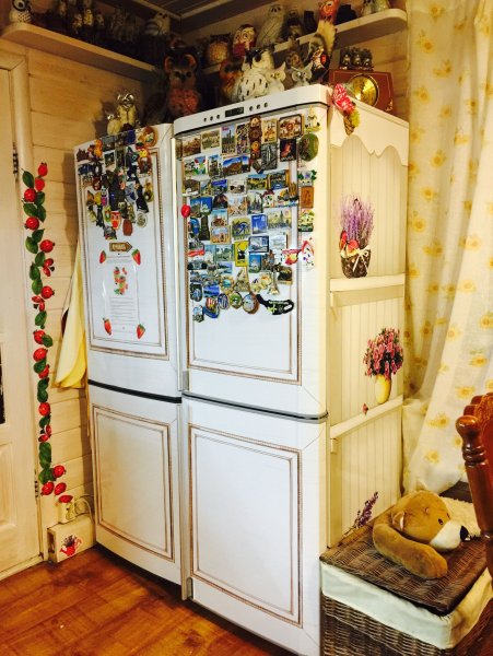 Расписать холодильник акриловыми красками