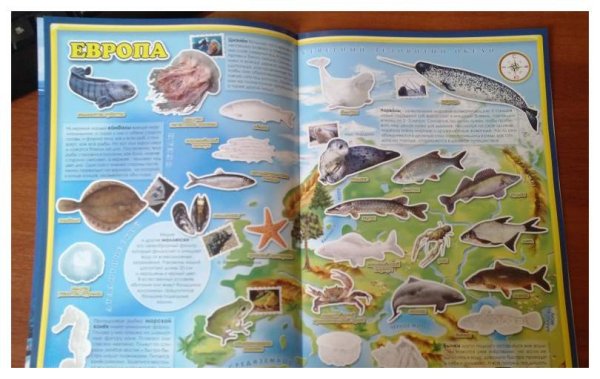 ГЕОДОМ атлас мира с наклейками обитатели рек морей и океанов