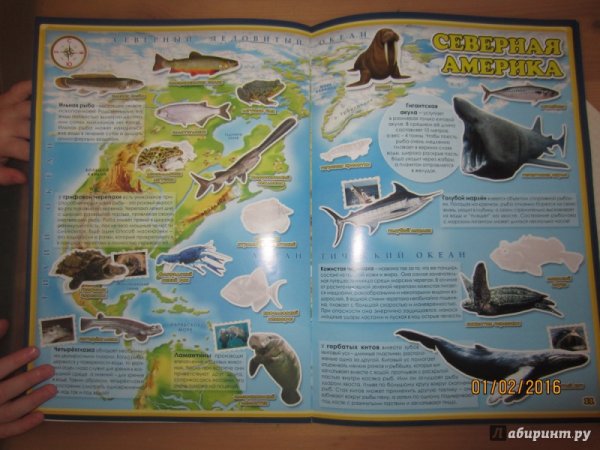 Книга моря и океаны