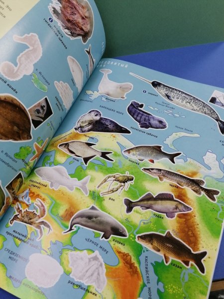 Атлас мира с наклейками обитатели рек морей и океанов страницы