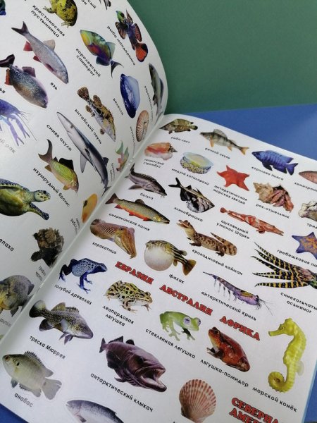 Атлас мира животные и растения