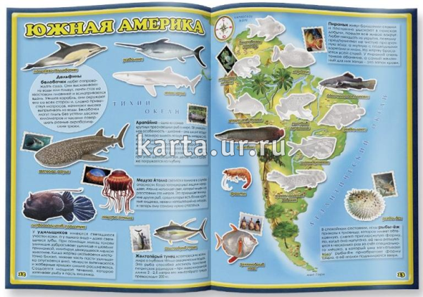 Книжки про морских обитателей