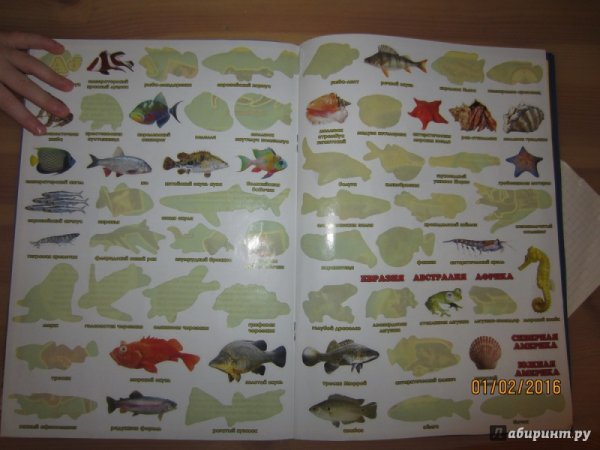 Энциклопедия морские обитатели
