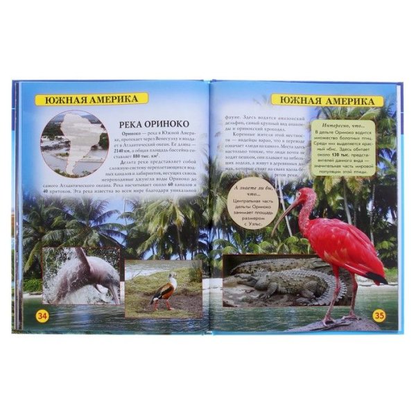 Животные рек, морей и океанов. Книжка с наклейками