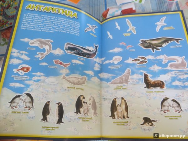 Океан (с окошками)