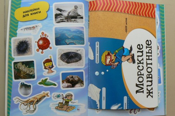 Подводный мир Травина Ирина энциклопедия для детского сада