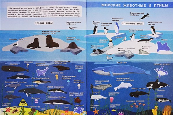Подводный мир задания для дошкольников