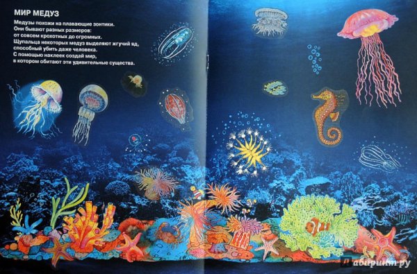 Книга про морских обитателей