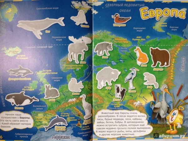 Материки и океаны для детей