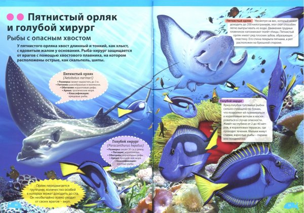 Водные обитатели для детей