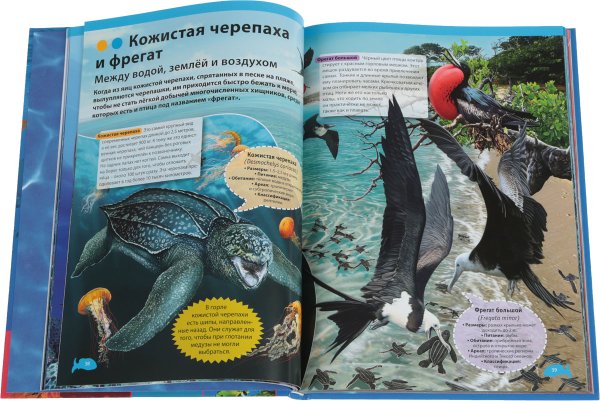 Книги про океан для детей