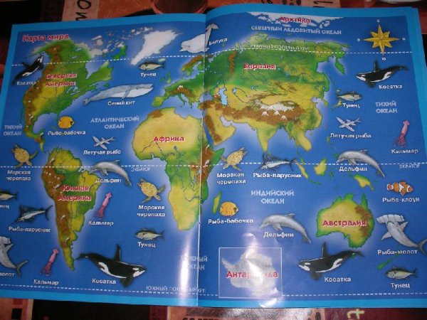 Обитатели моря для детей