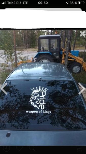 Наклейка Прайд со львом на лобовом