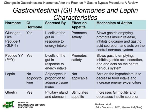 Пчела на прозрачном фоне