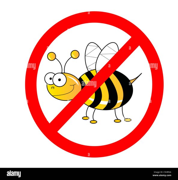 Рамки для пчел