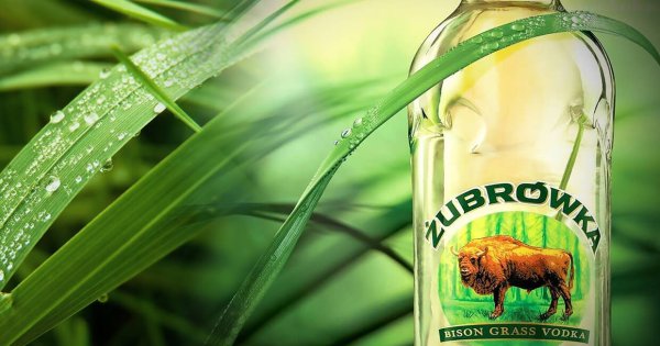 Зубровка этикетка СССР