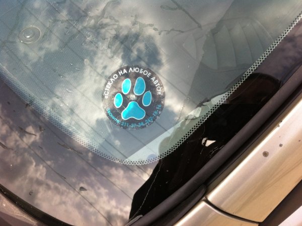 Наклейка лапа Шерхан