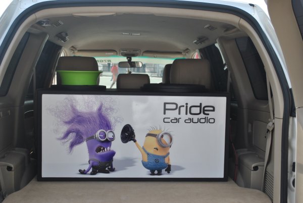 Миньоны автозвук