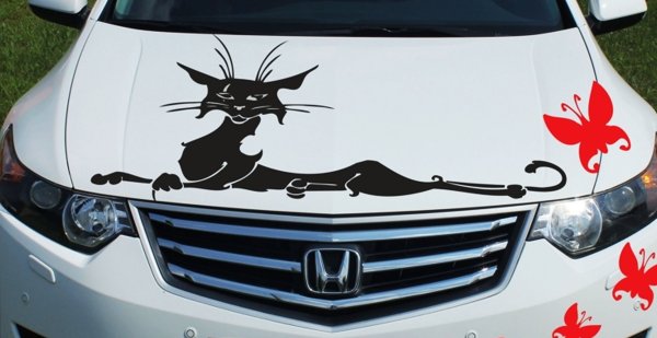 Аэрография на Хендай Гетц