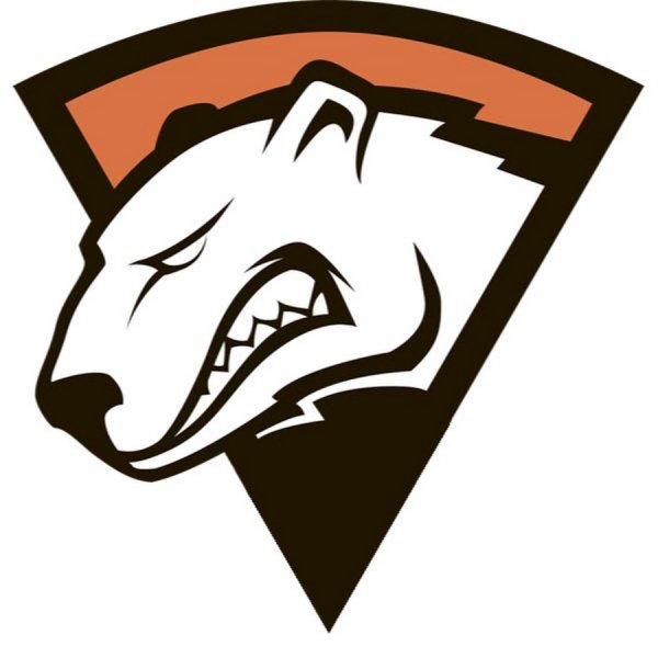 Virtus Pro логотип