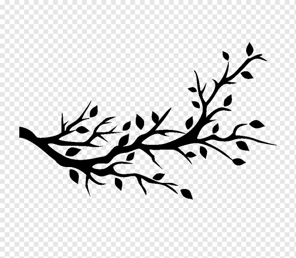 Ветка дерева силуэт